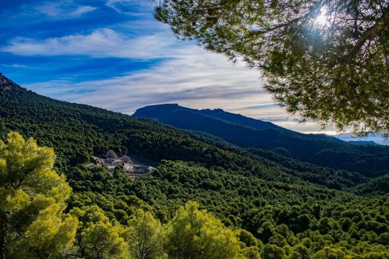 ecoturismo sierra espuña