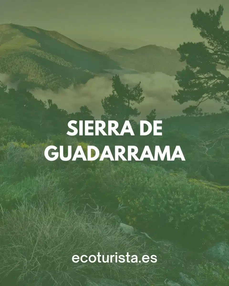 Excursión a Guadarrama y Castillo de Manzanares el Real