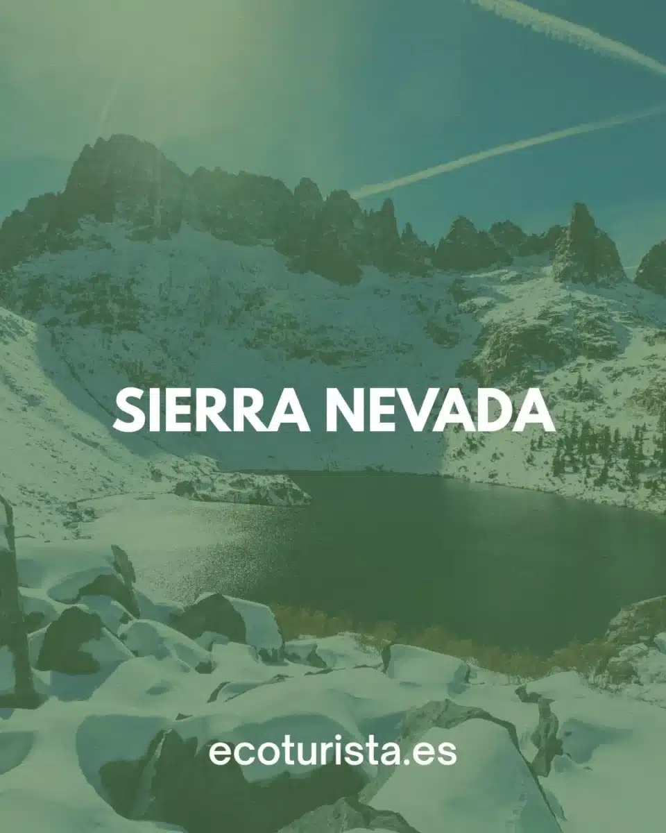 Paseo con raquetas de nieve en Sierra Nevada