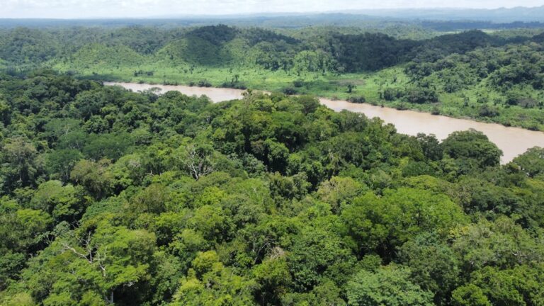 circuito ecoturístico amazonía declarado — Foto: Pau de Valencia / Unsplash